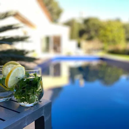Luxury In With Swimming Pool & Sea View Villa Cannes